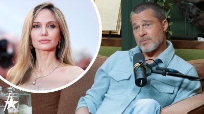 Why Brad Pitt joined AA amid ‘difficult time' after Angelina Jolie split