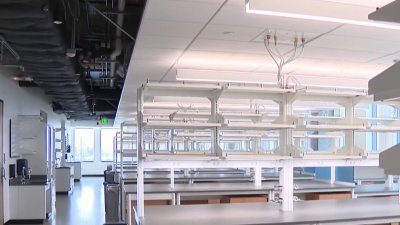 UC San Diego looks into the future with its new vision research center