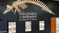 The entranceway to the new Paleo Center at the San Diego Museum of Natural History.