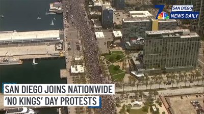 60,000+ people partake in San Diego's ‘No Kings' protest| San Diego News Daily