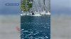 2 survivors of deadly Lake Tahoe capsizing had life jackets on, officials say