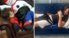 After missing for more than 8 years, New York family's cat finally returns home