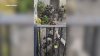 Federal agents broke windows, handcuffed teens in Oceanside immigration operation