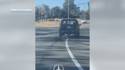 Suspect sought in Spring Valley animal abuse case – NBC 7 San Diego