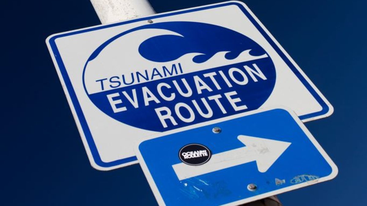 Here’s how the tsunami impacted San Diego County – NBC 7 San Diego