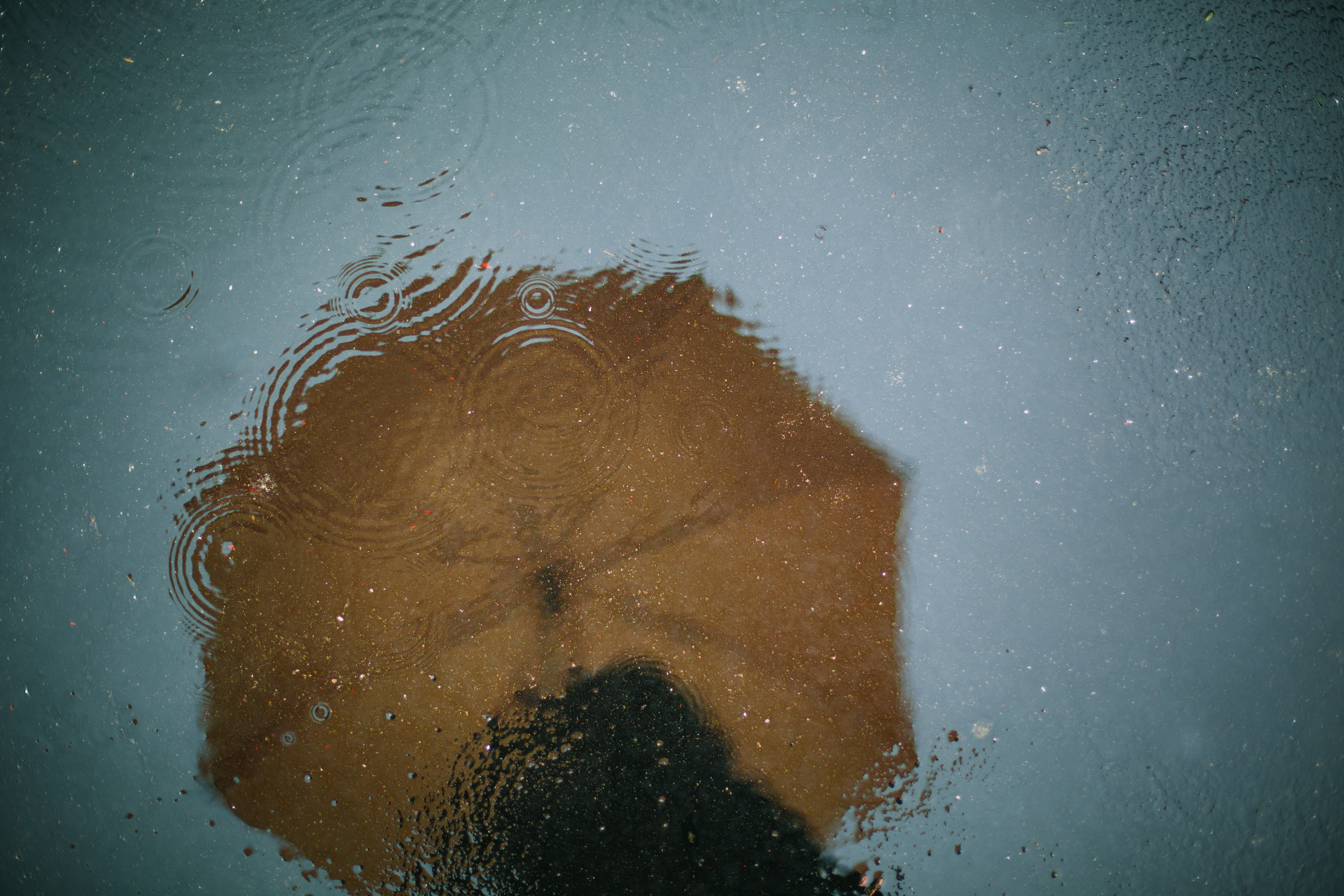 San Diego prepares for more rain early Monday