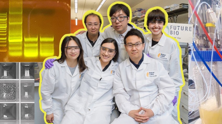 The staff of Future Bio.