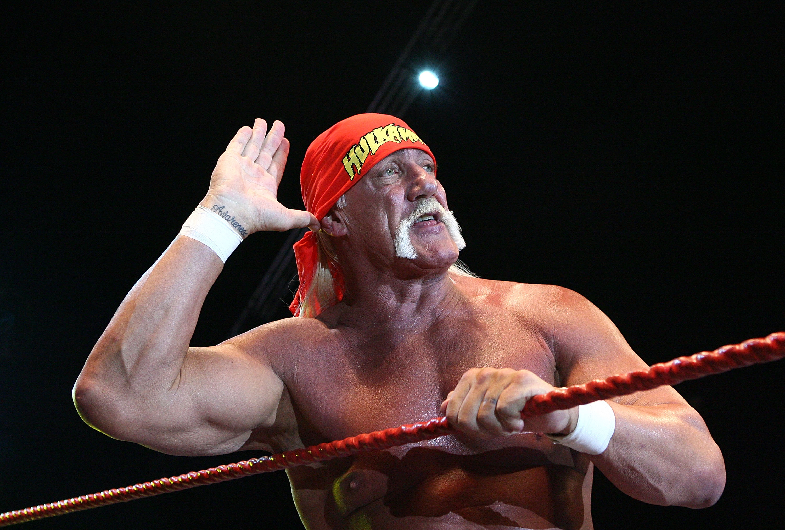 Wrestling superstar Hulk Hogan dead at 71
