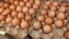 Salmonella outbreak linked to Ramona deli's use of raw, unpasteurized eggs, county says