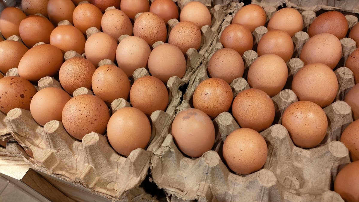 Salmonella outbreak linked to Ramona deli's use of raw, unpasteurized eggs, county says