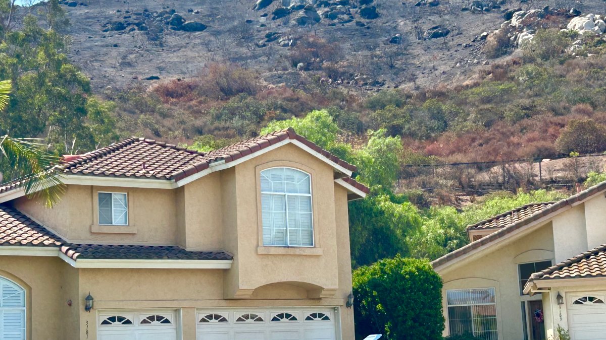 High summer temperatures this week raise health concerns and fire danger