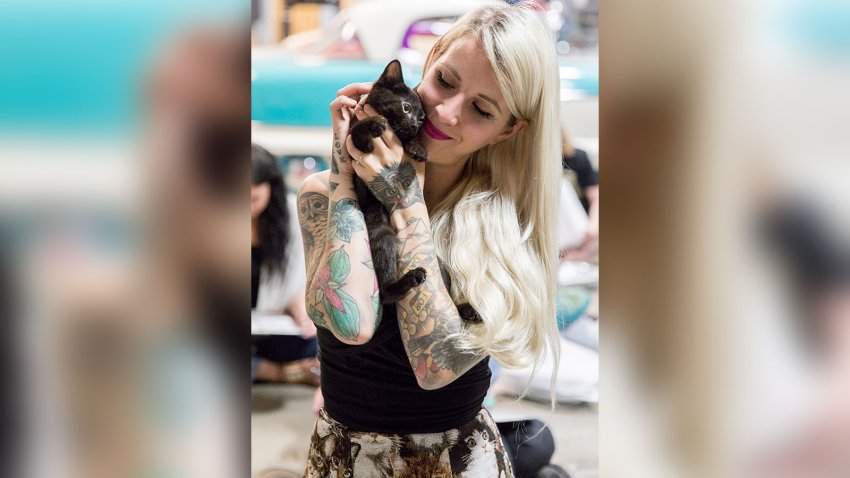 Instagram personality Hannah Shaw handles a small kitten while hosting a supply kit-making workshop at the Silicat Valley Cat Convention held at the Club Auto Sport Event Center in San Jose, Calif. Saturday, July 27, 2019.
