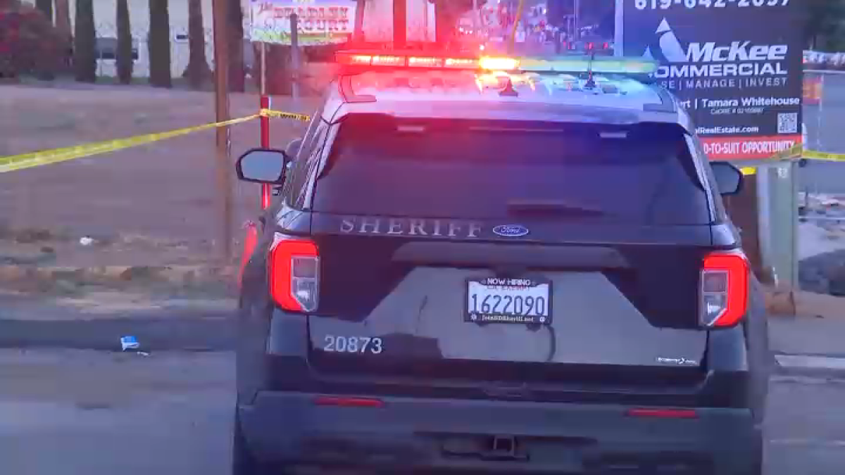 Assault News Image