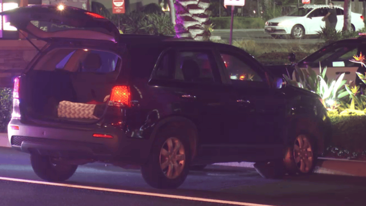 Deadly carjacking suspect shot and killed by police after pursuit in ...