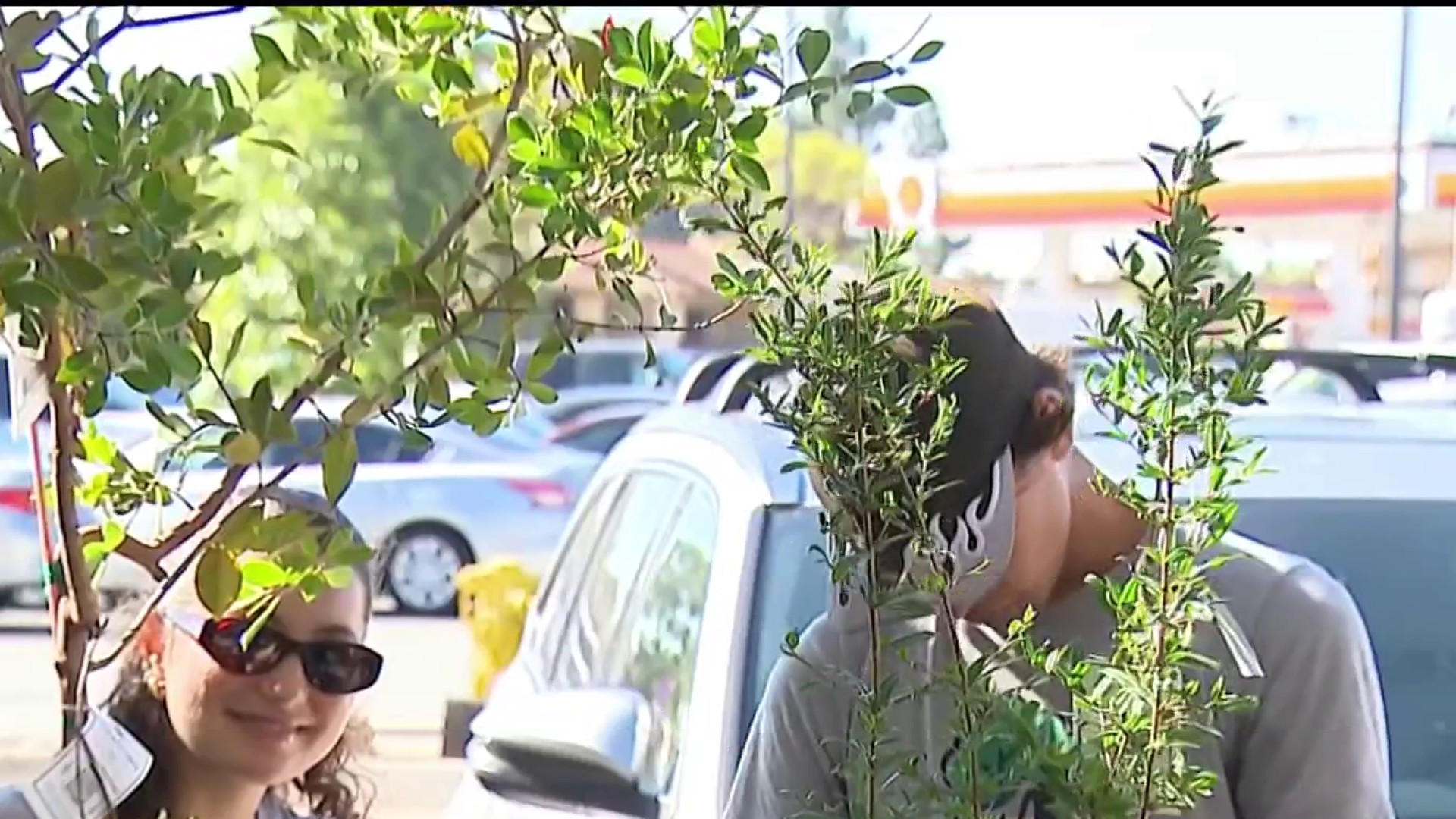 Southeastern San Diego free-tree event bonus: Helping with food insecurity