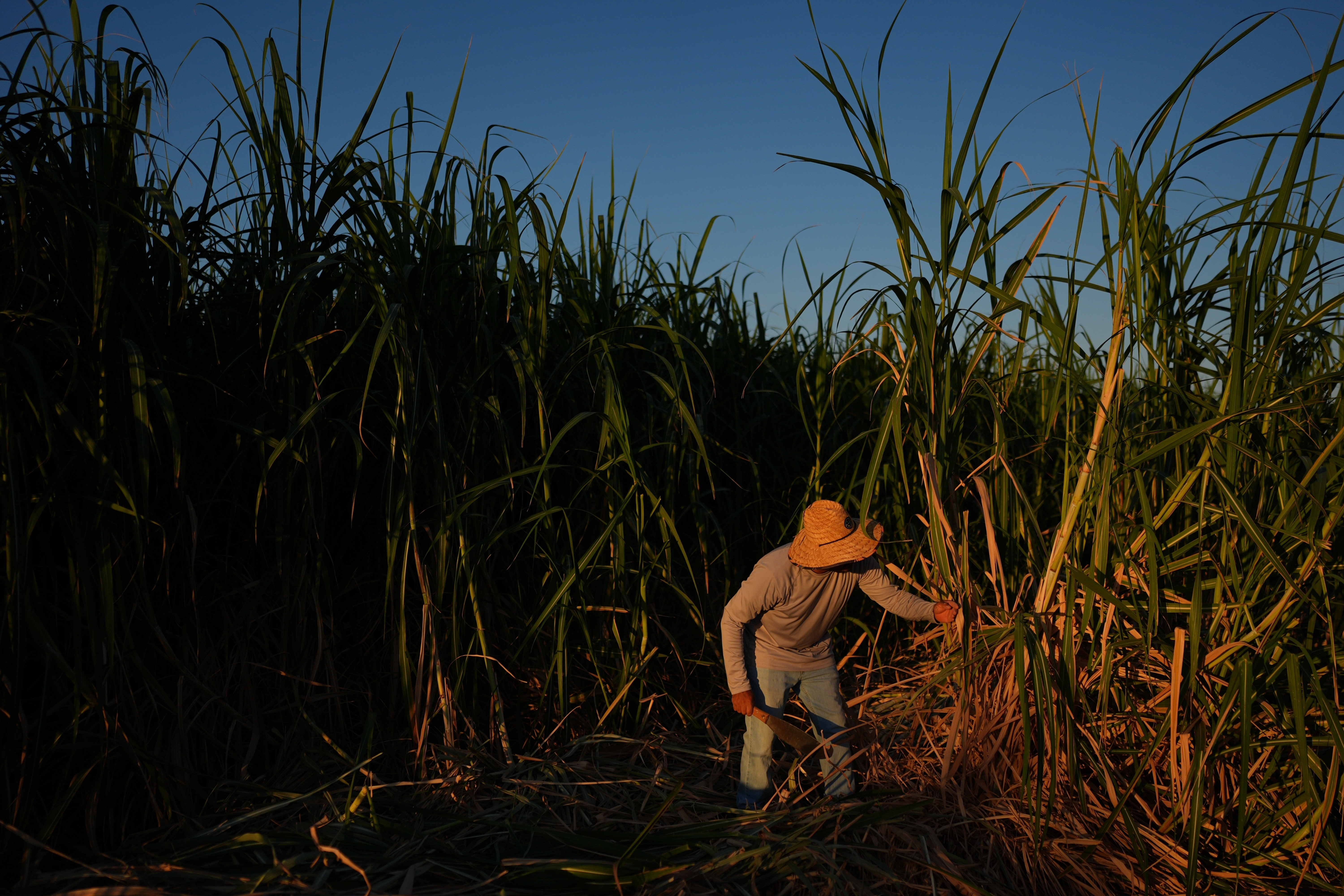 San Diego State researchers are mapping rural heat to protect farmworkers