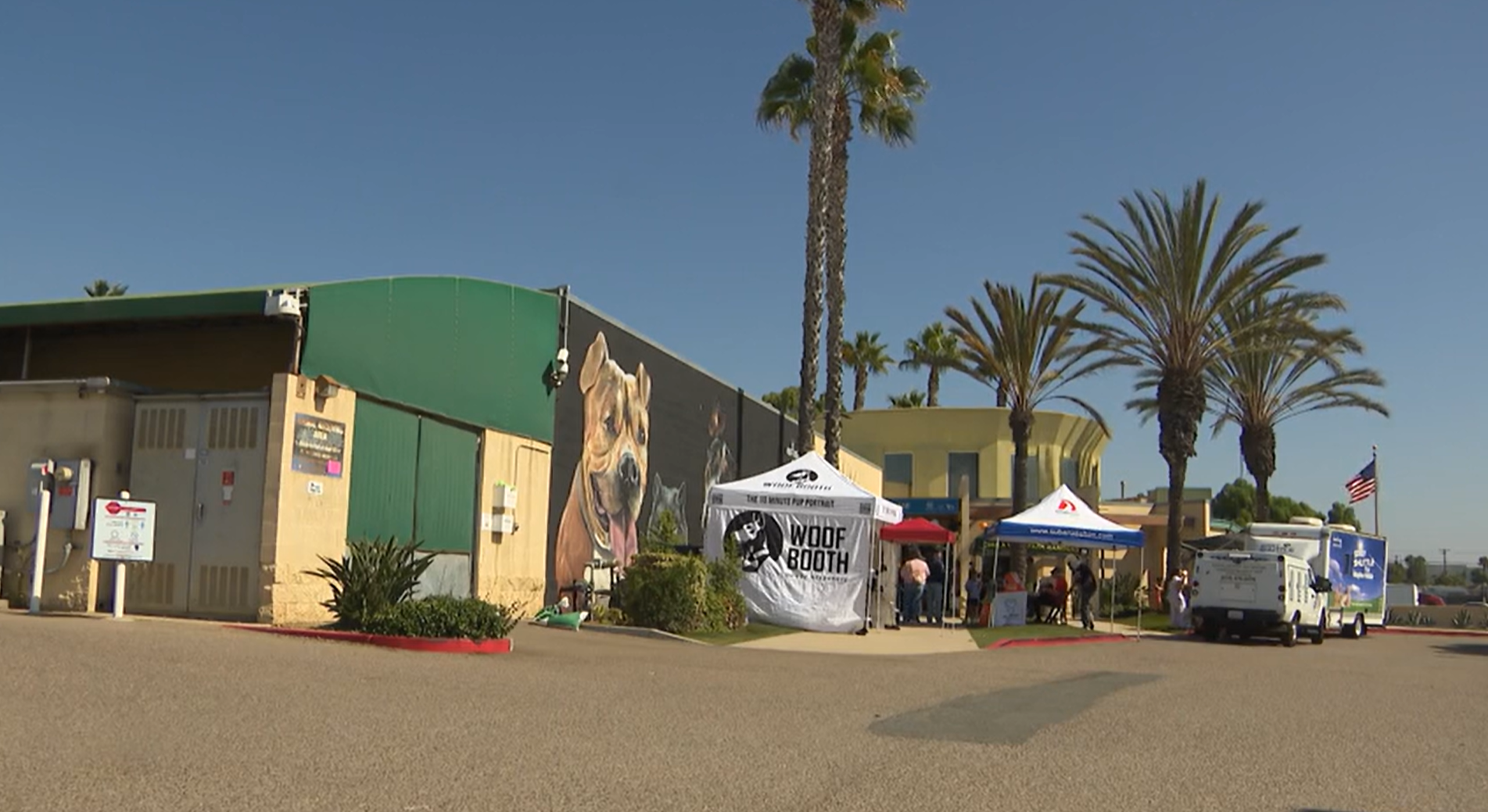 Chula Vista hosts pet adoption open house event