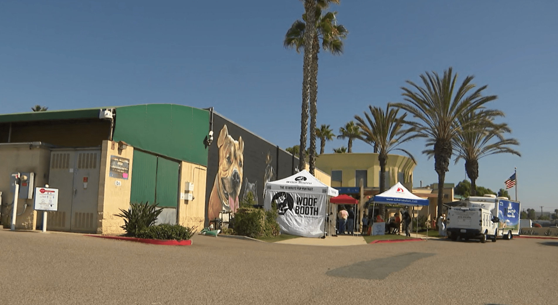 Chula Vista hosts pet adoption open house event