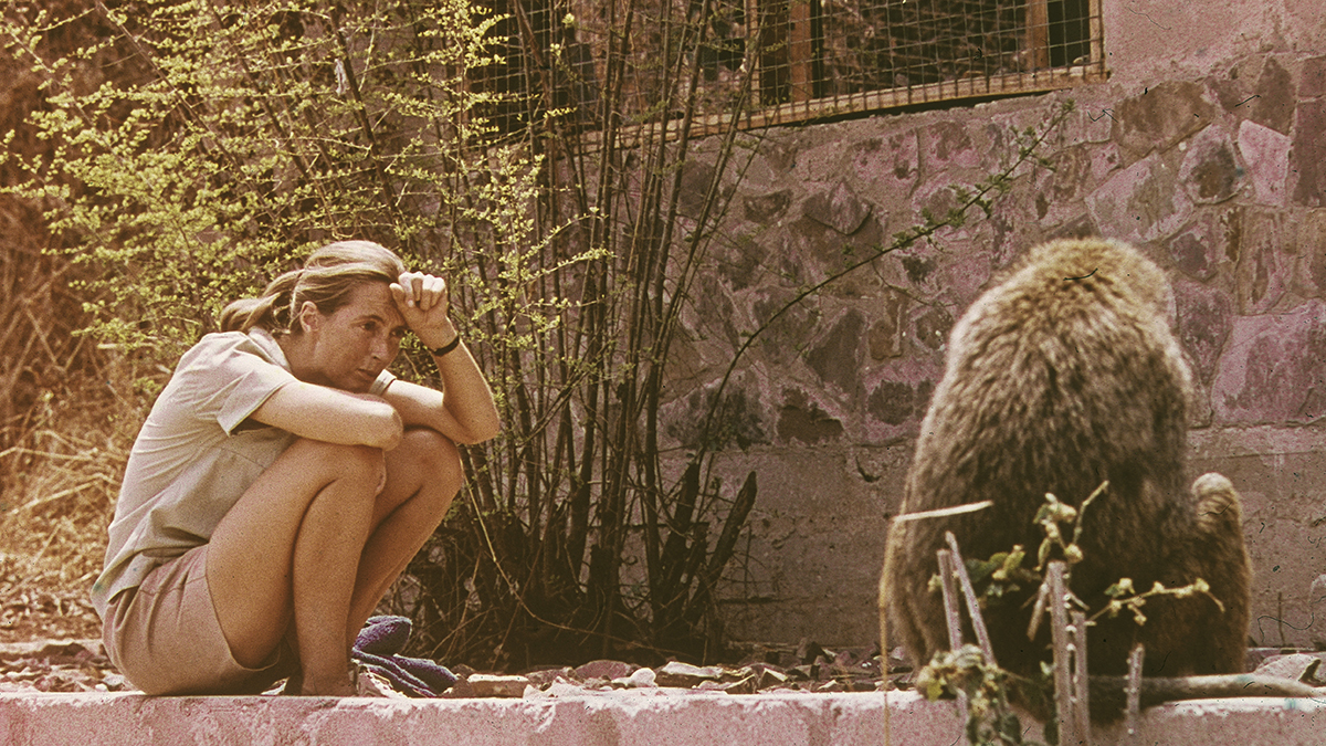 GOODALL-2.jpg?quality=85&strip