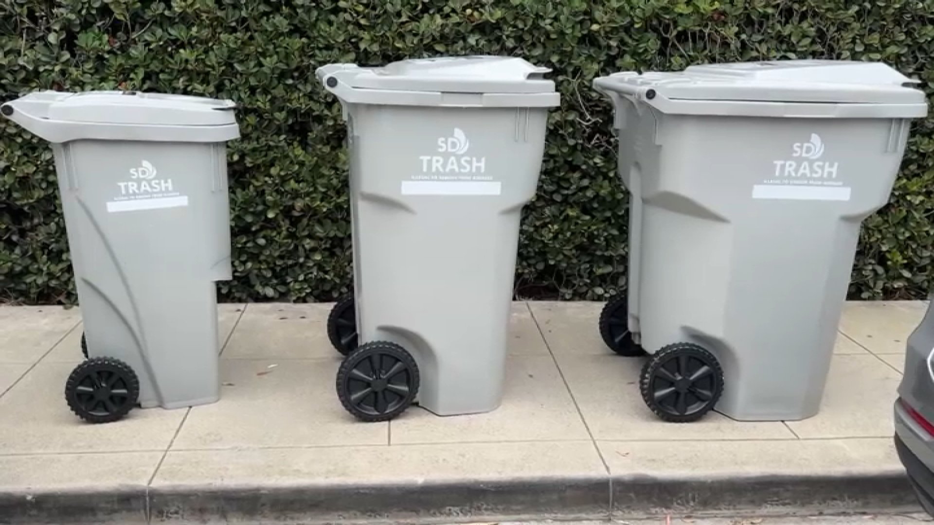 Phased rollout of San Diego trash bins begins on Monday