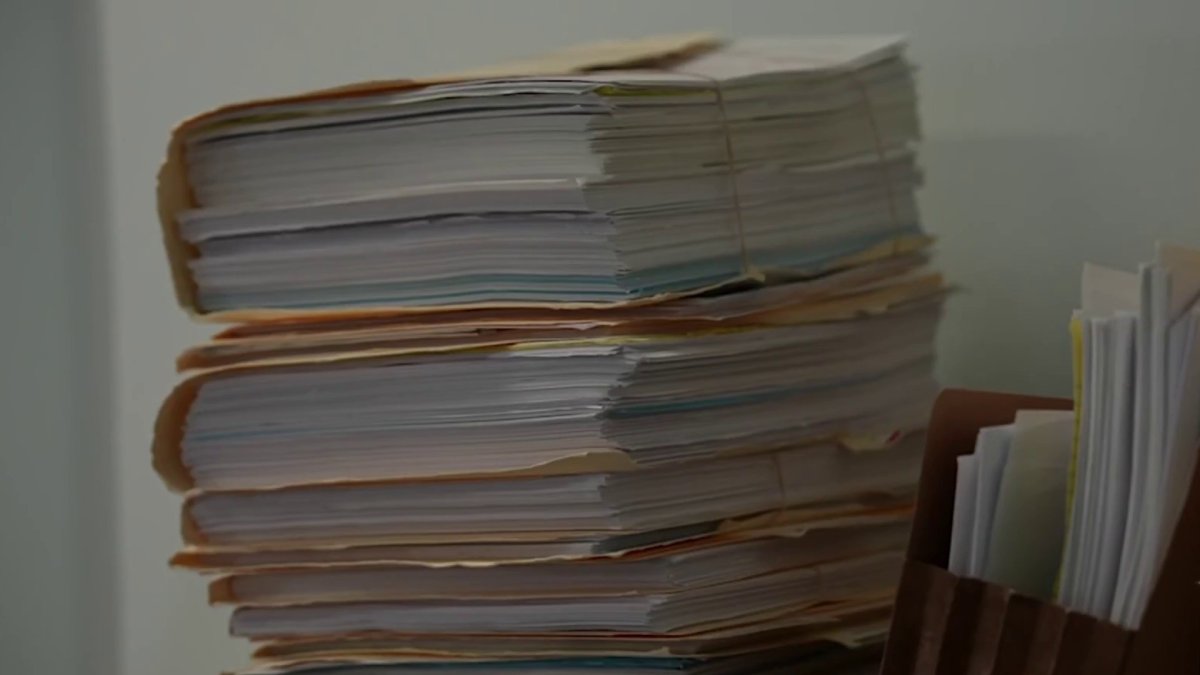 Inside Immigration Court: Paused cases return