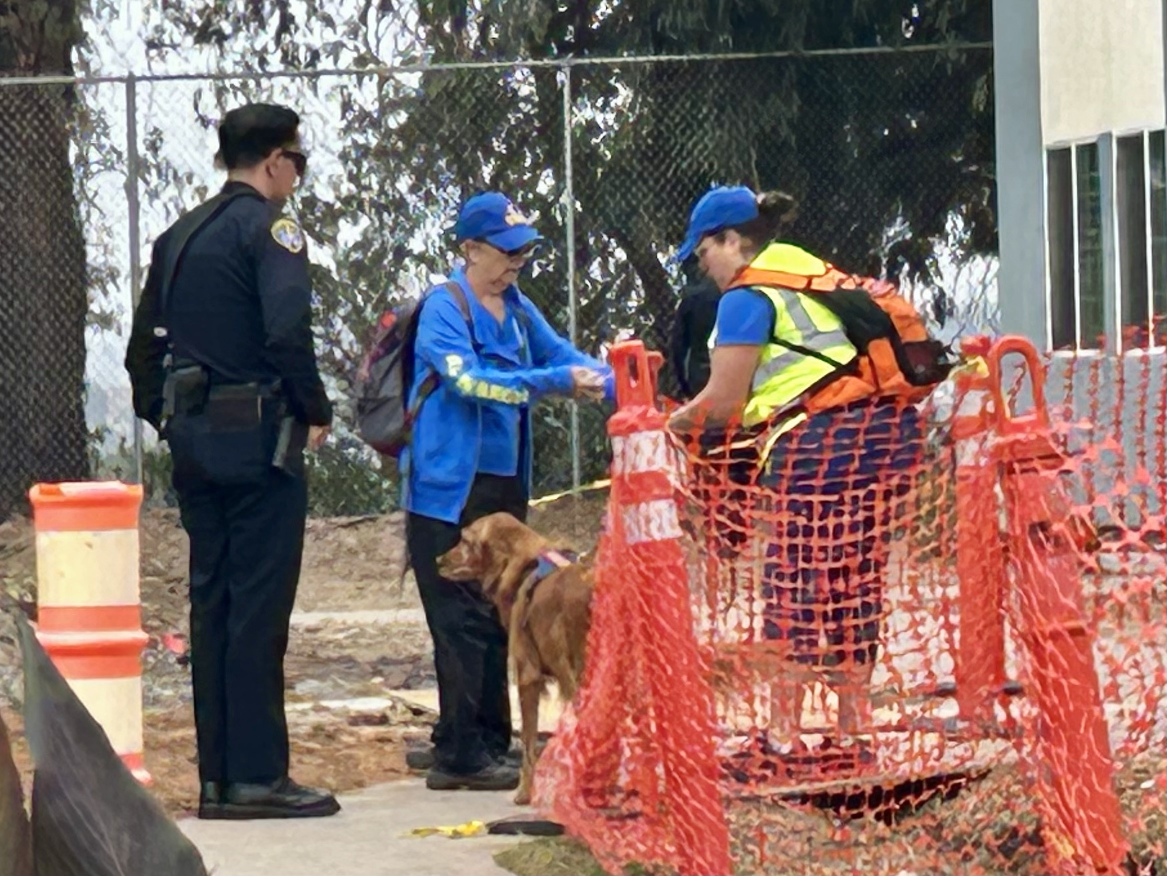 Boy, 4, reported missing in Oak Park found safe after mom forgot him in car: SDPD