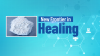 Inside Ibogaine: A New Frontier in Healing