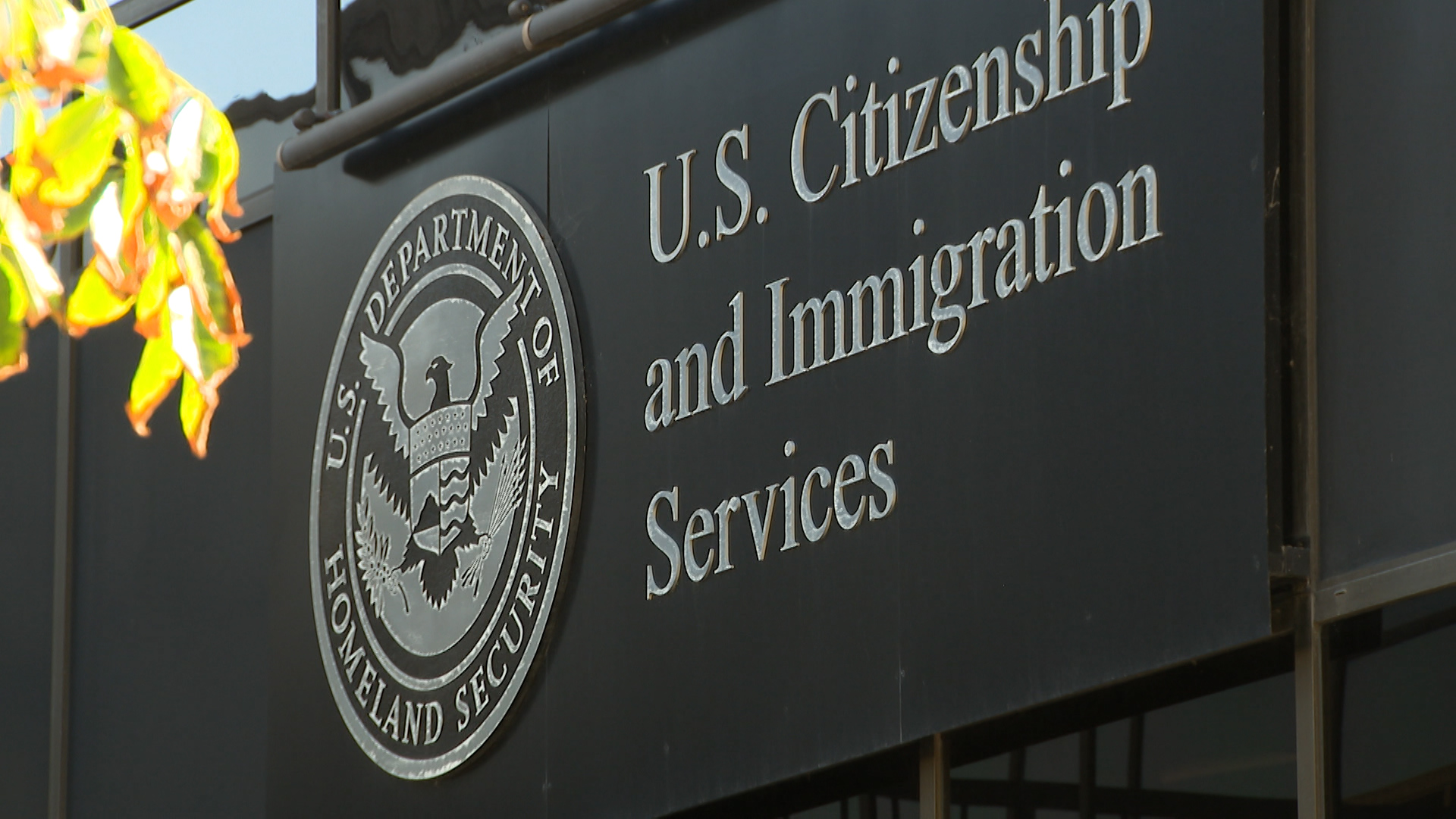 ICE making arrests during green card interviews in San Diego, attorneys say