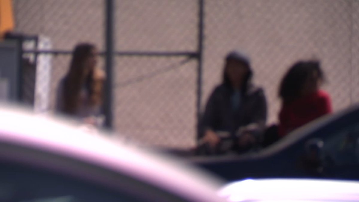 Federal judge to decide on class-action lawsuit over California’s school gender policies – NBC 7 San Diego