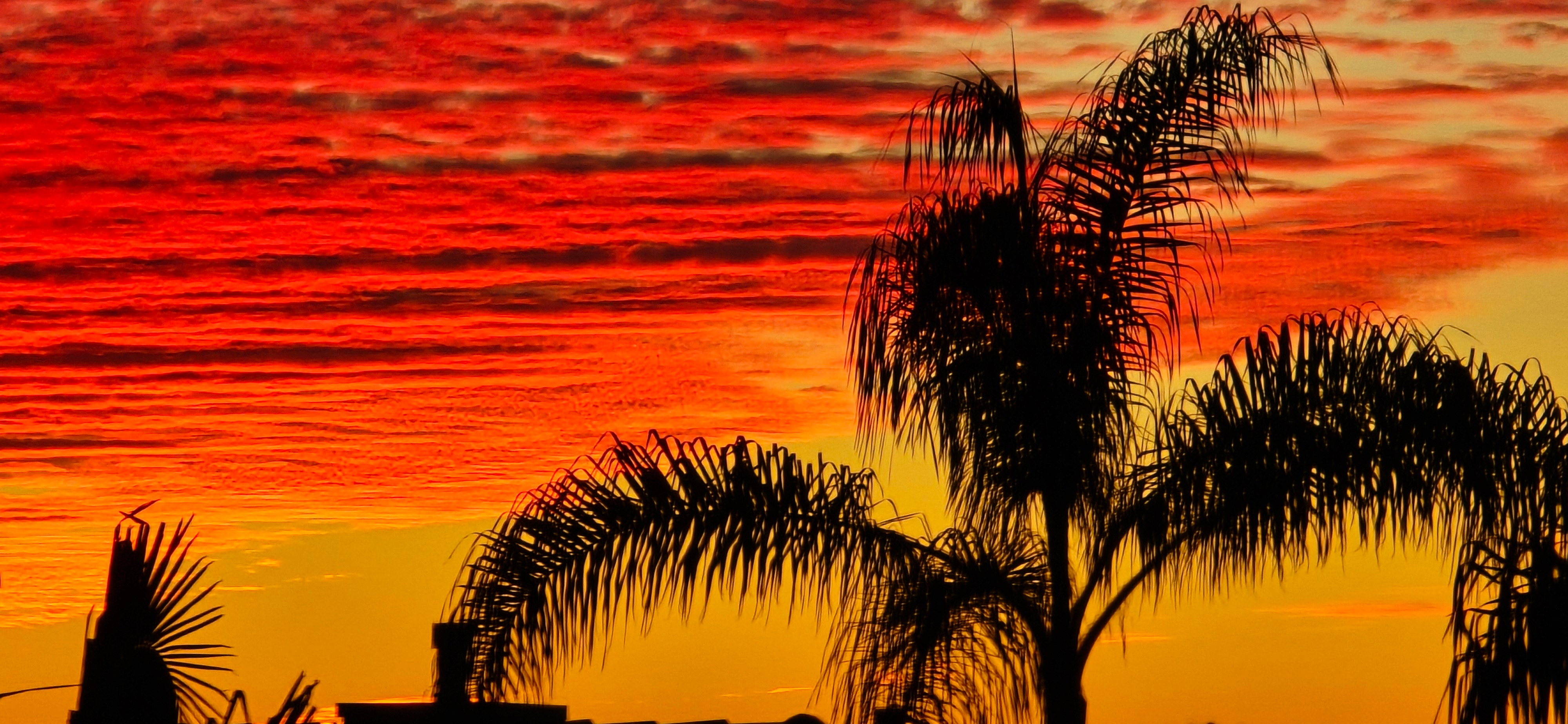 A photo of the sunset captured in San Diego County on Dec. 30, 2025.
