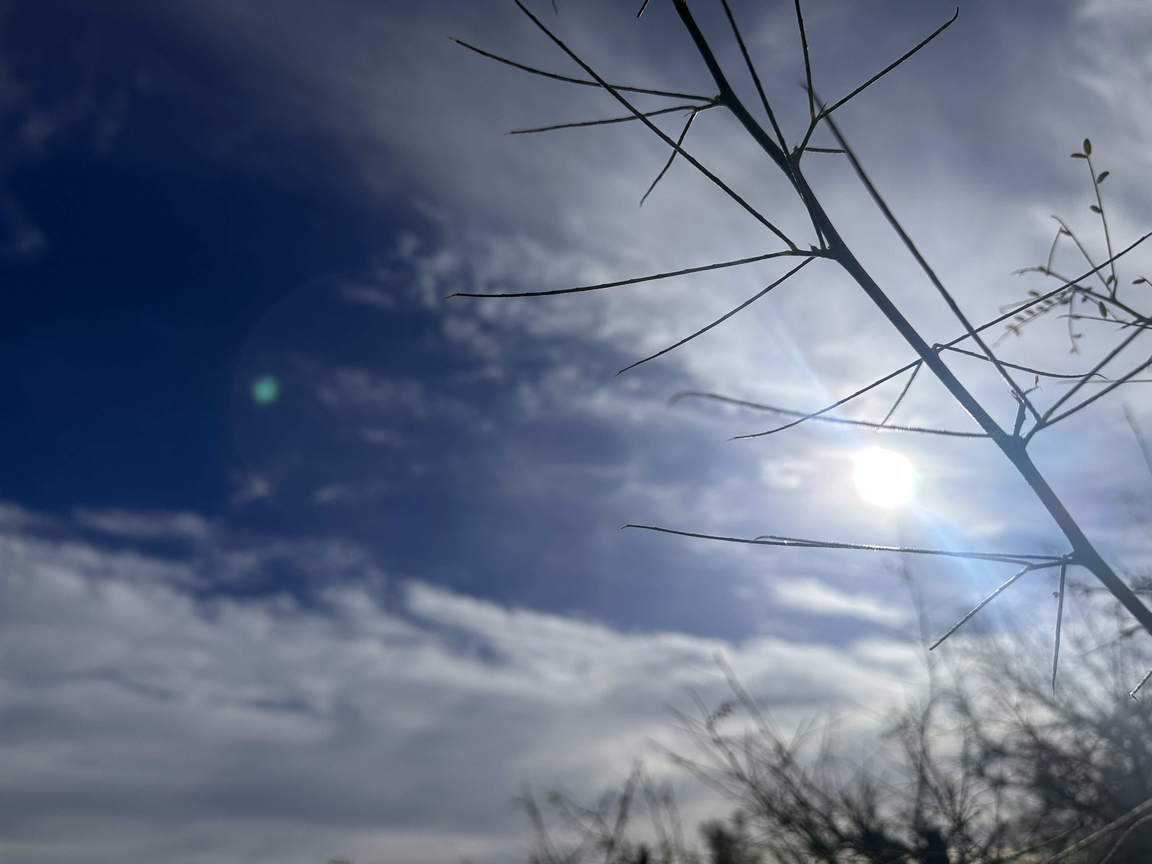 San Diego emerges from week of storms to a sunny and dry, but colder weekend