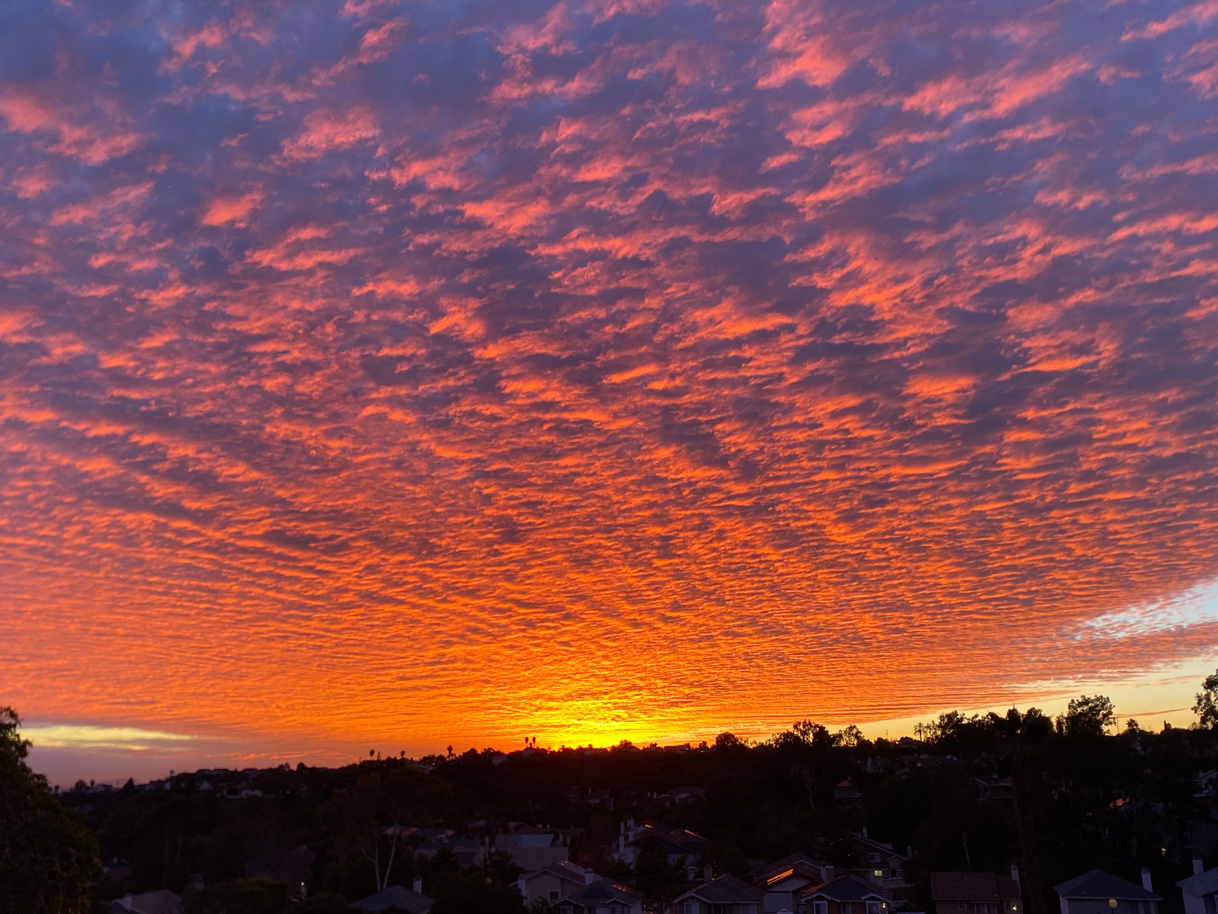 A photo of the sunset captured in San Diego County on Dec. 30, 2025.