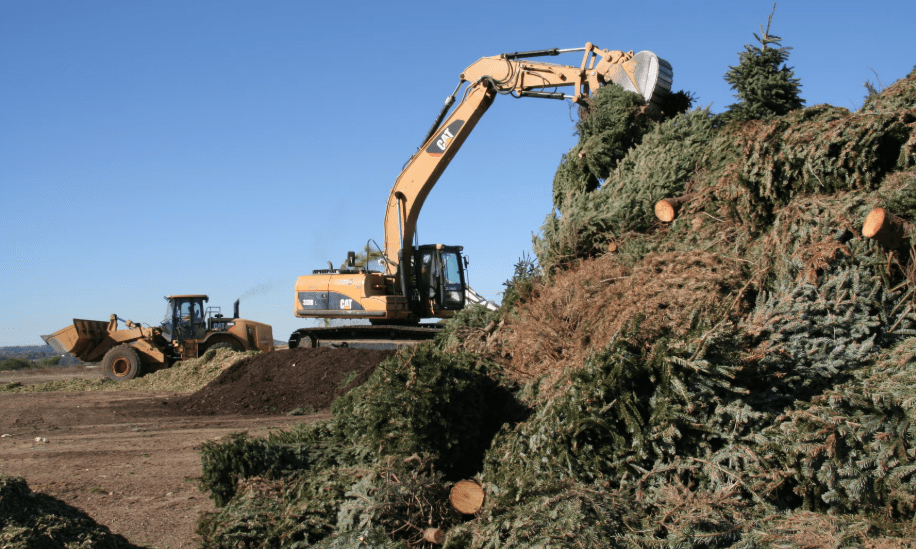 Christmas is so yesterday — here's what to do with your stale tree