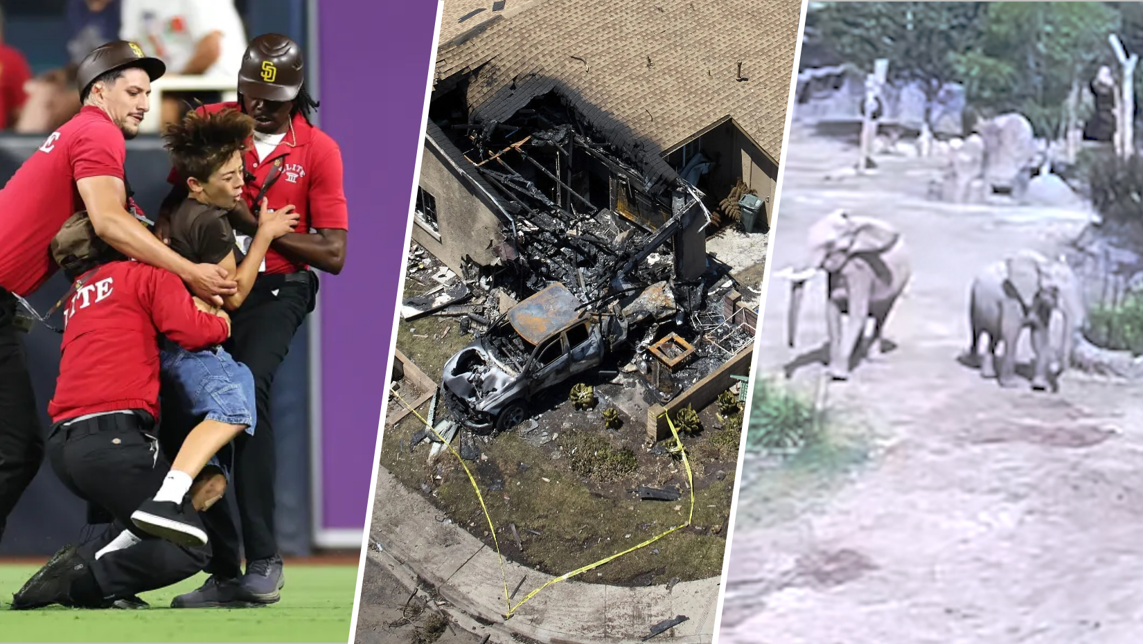 NBC San Diego wrapped: The news stories that caught your eye in 2025