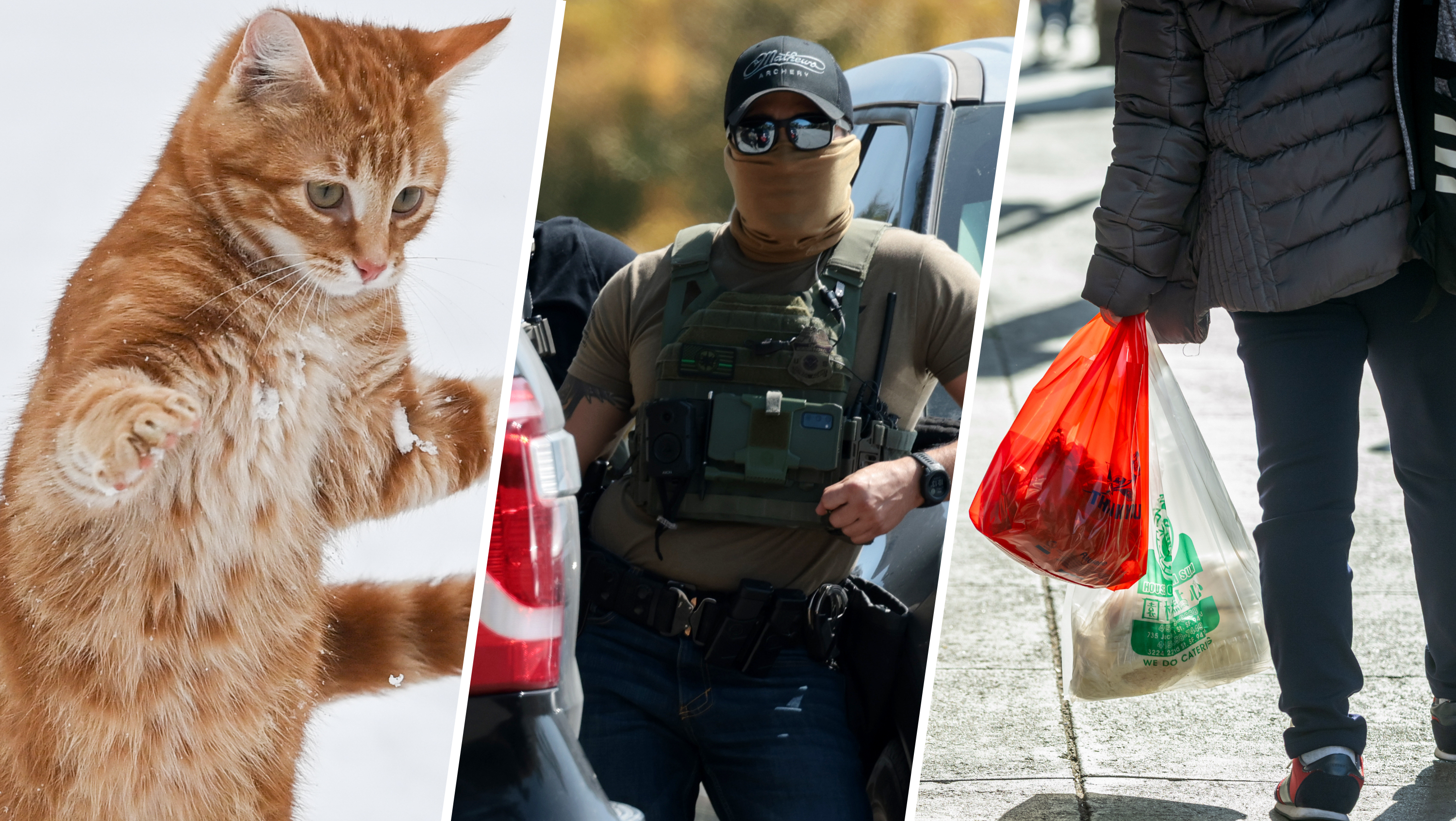 Goodbye, plastic bags. Hello, lower insulin copays. See new California laws for 2026