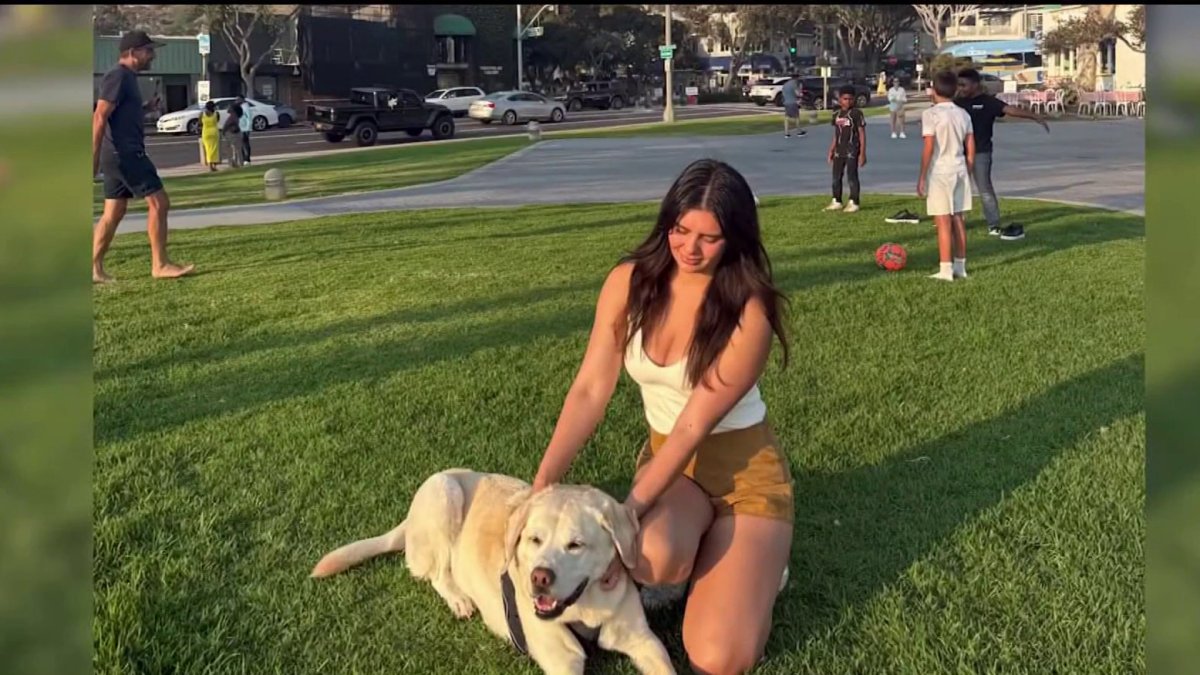 Dog survives vicious attack at Linda Vista park