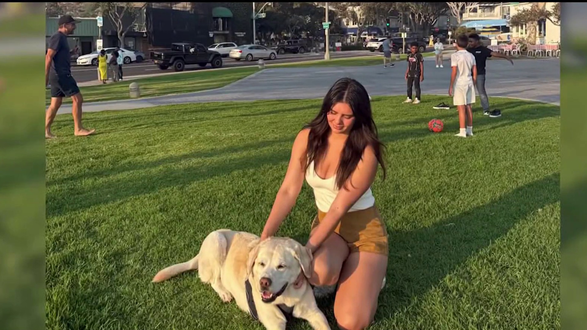 Dog survives vicious attack at Linda Vista park