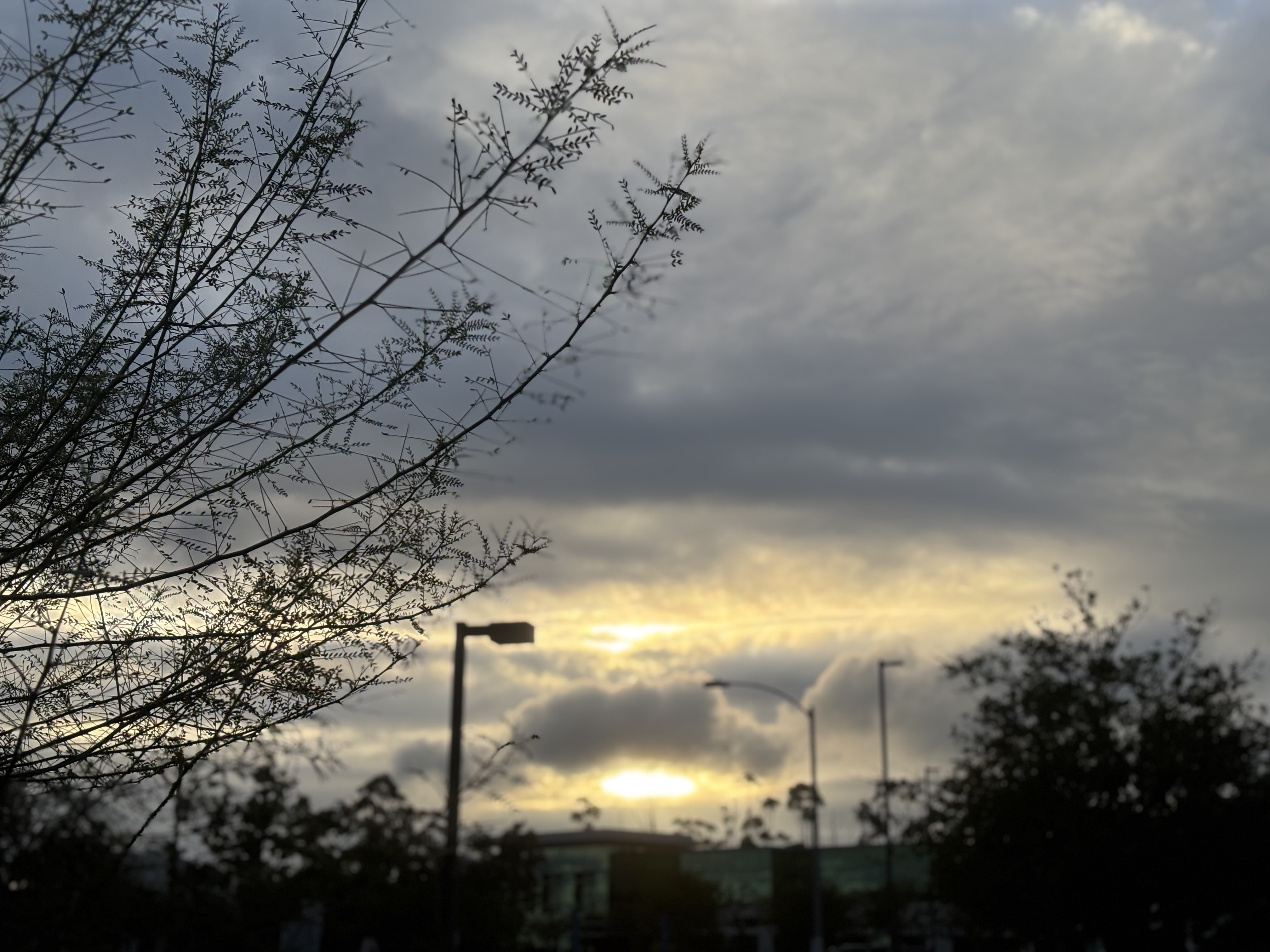 Intermittent light showers expected to persist through the weekend in San Diego County