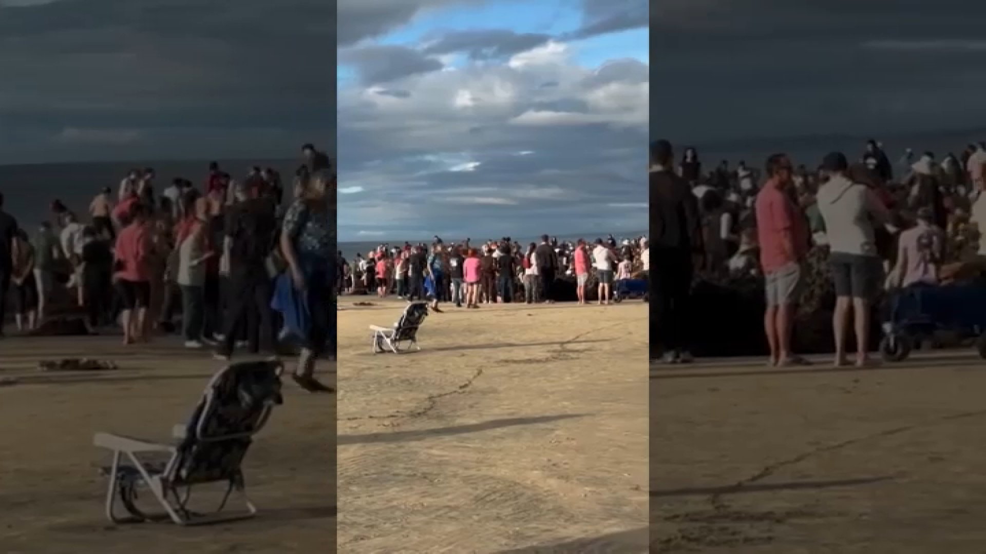 Tide pool crowds threaten sea life on protected La Jolla coast, possibly illegally