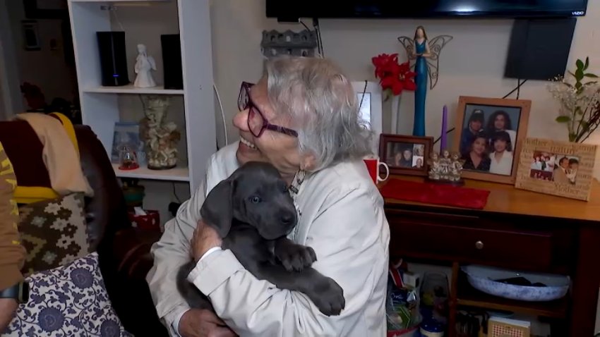 Monica Lopez embraces her new puppy, a cane corso, on Sunday, Jan. 4, 2025.