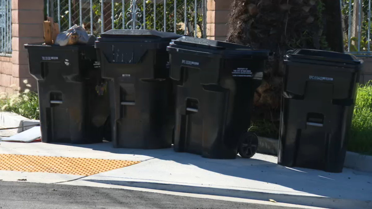 Multiple black trash bins continue to line neighborhood streets after city's phase-out