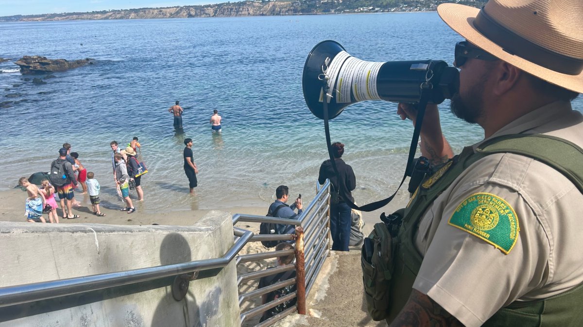 Tourist family removed from La Jolla Cove for harassing sea lions
