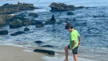 A young visitor to La Jolla Cove, Monday, plays in the sand as sea lions rest on nearby rocks, La Jolla, Calif., February 23, 2026.