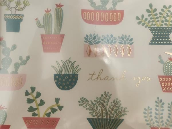 When you care enough to send the very meth — jailers find 3 drug-soaked envelopes