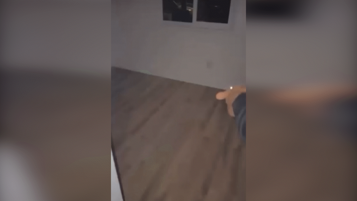 Party-goers were recorded setting off fireworks inside a Skyline home in January during an illegal vacant house party.