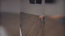 Party-goers were recorded setting off fireworks inside a Skyline home in January during an illegal vacant house party.