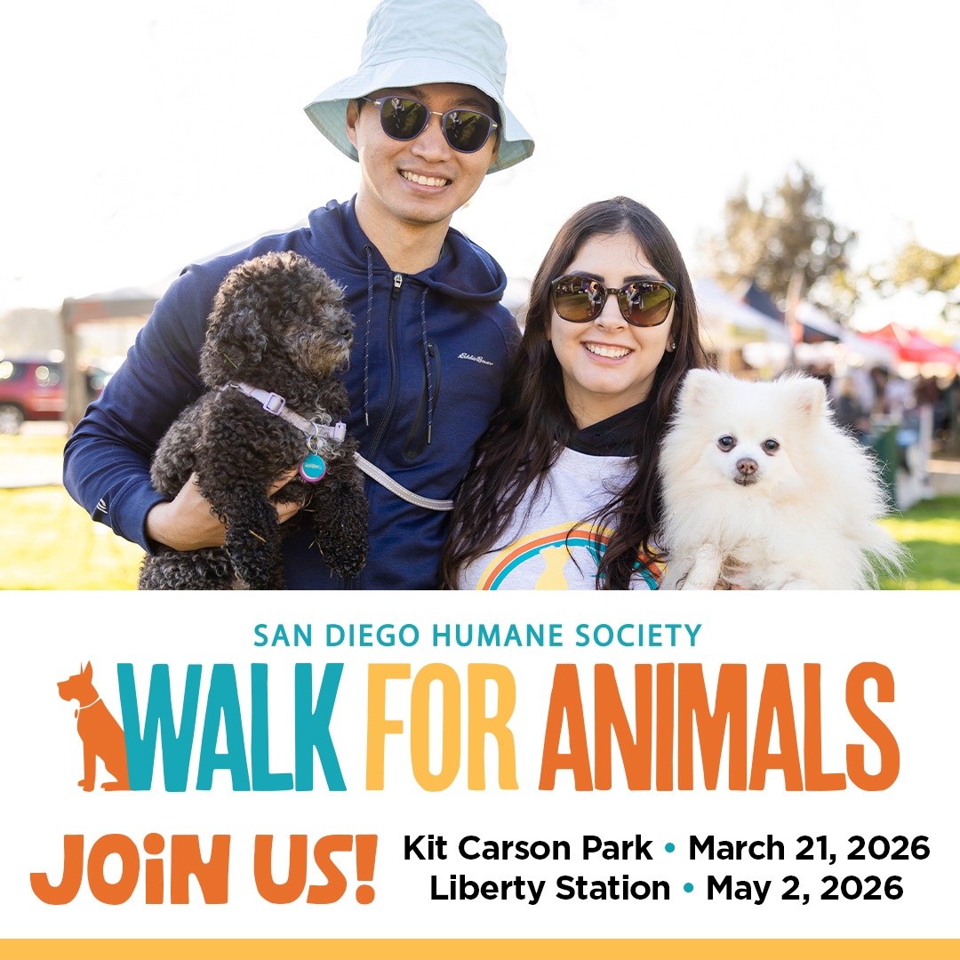 Join the San Diego Humane Society, NBC 7 & Telemundo 20 for the annual ...