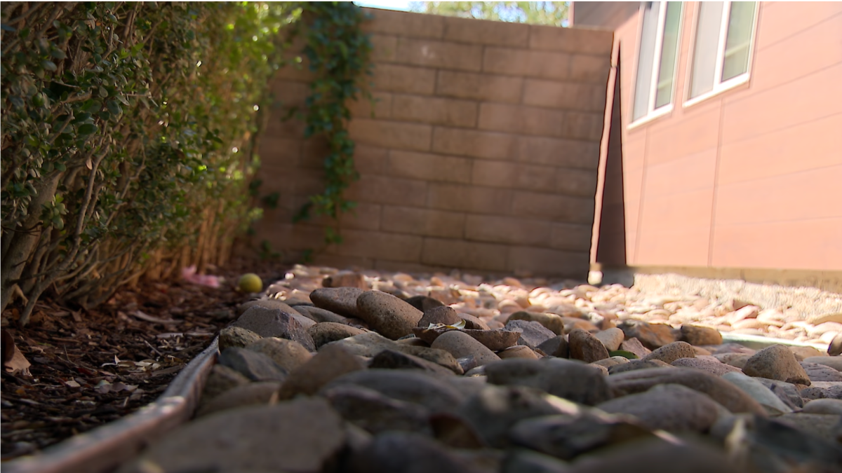 City of San Diego will implement state-mandated Zone Zero fire clearance