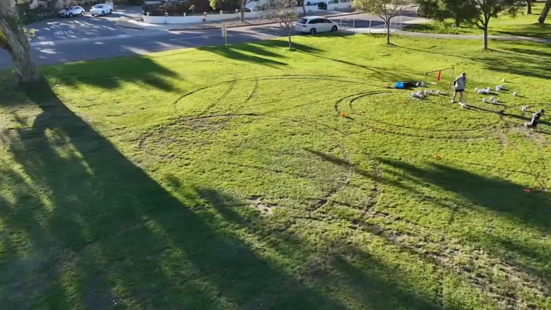 San Diego police investigating vandalism at Kate Sessions Park in Pacific Beach