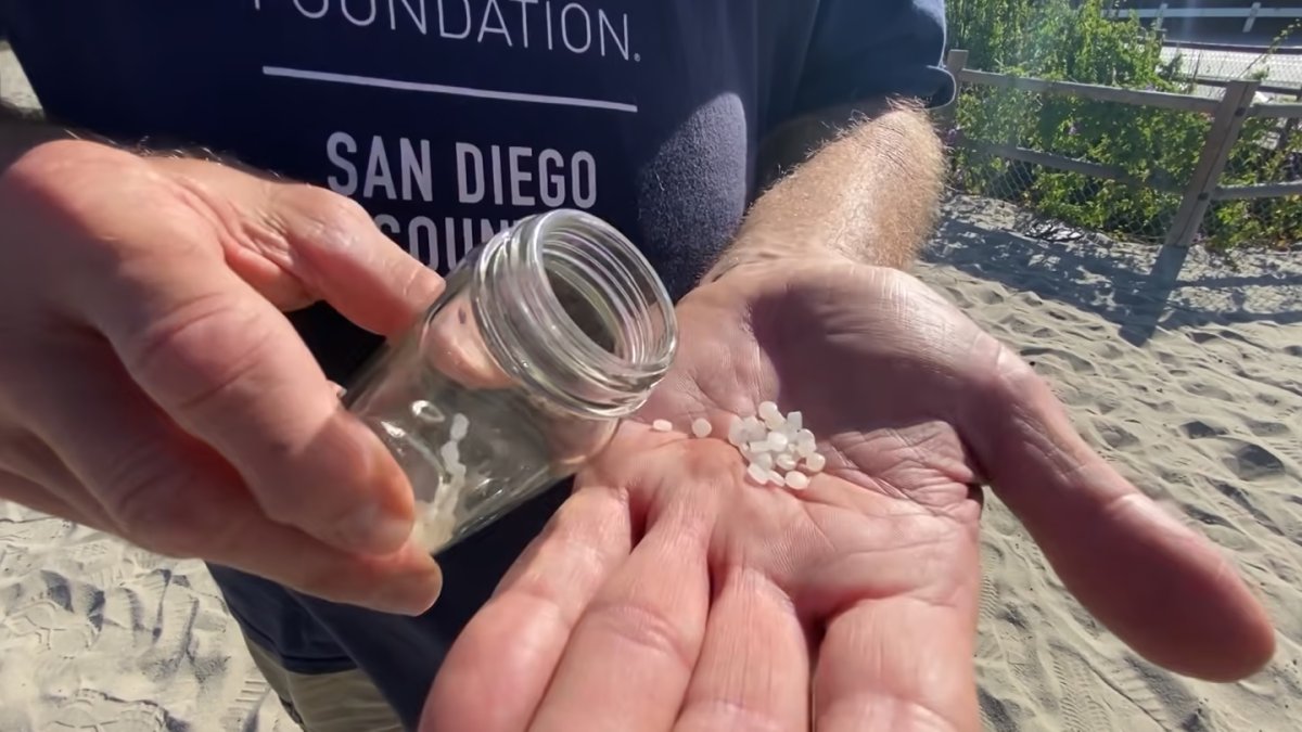 Agreement aims to curb plastic nurdles spilling from trains near coast